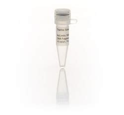 Thermo Scientific NoLimits 1000 bp DNA Fragment